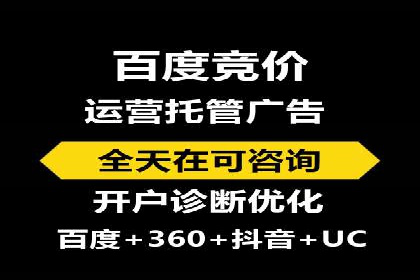 某企业通过SEO和SEM双管齐下实现业绩飞跃的案例